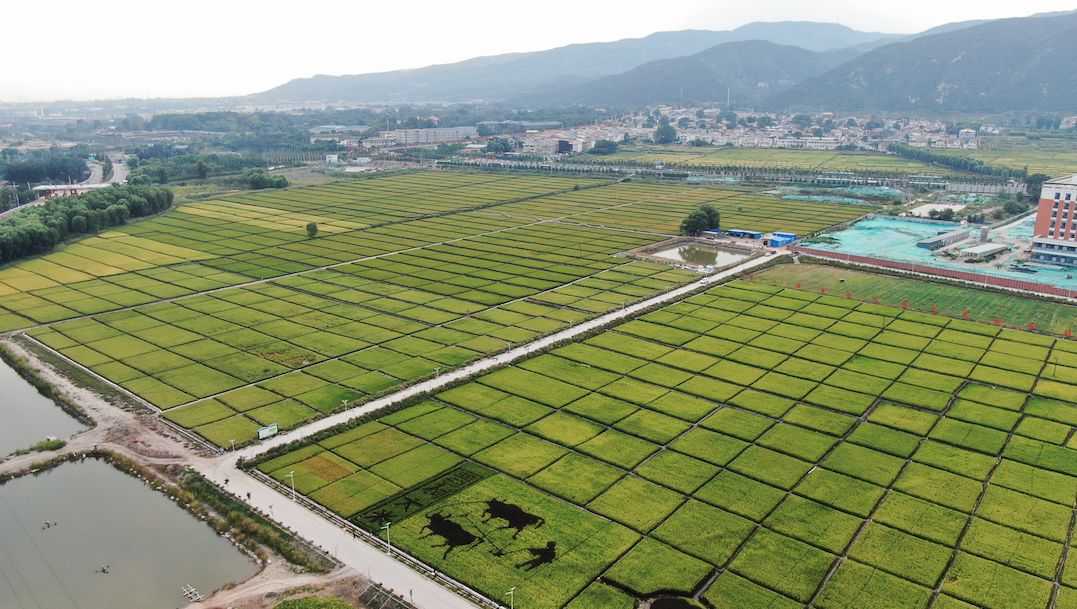 太原市2022年打造40個美麗宜居示范村