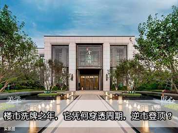 樓市洗牌之年，它憑何穿透周期，逆市登頂？ 