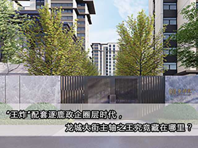 “王炸”配套逐鹿政企圈層時代，龍城大街主軸之王究竟藏在哪里？ 