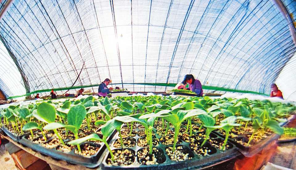 我省動態調整部分醫療服務項目價格及相關醫保支付政策，明年1月1日起執行