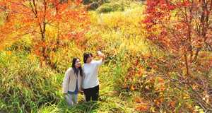 我省確定10地為文旅康養集聚區 