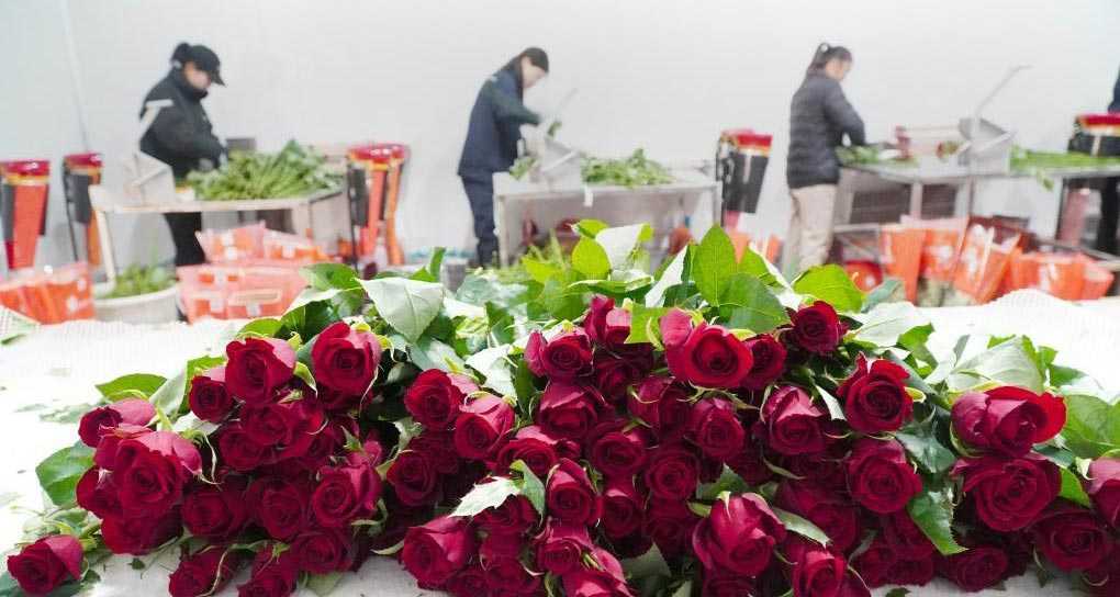“千校萬企 協同創新”對接大會（山西）舉行