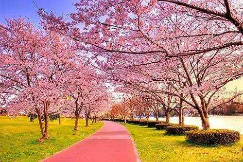 春和景明 暢游正當(dāng)時(shí) 人民網(wǎng)首頁報(bào)道太原春日美景