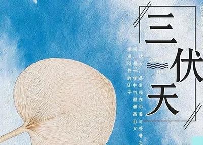 大暑正伏天 養生有講究 吃三瓜三肉 謹記六不要
